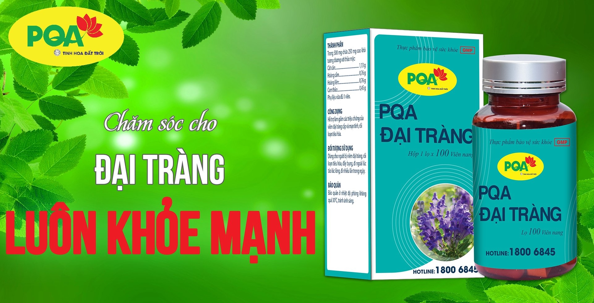 PQA đại tràng