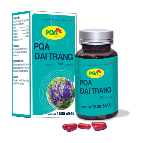 PQA ĐẠI TRÀNG VIÊN NANG (100V)